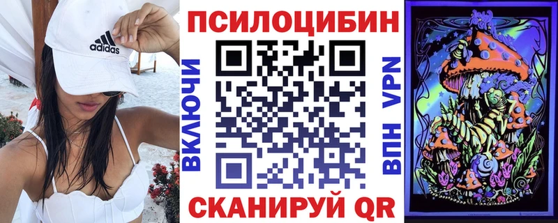 Псилоцибиновые грибы Magic Shrooms  Купить закладки  Алдан 